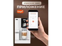 Кофемашина электрическая бытовая TAYA machine R5