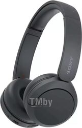 Bluetooth наушники SONY WH-CH520 Чёрный