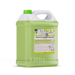 Очиститель ковровых покрытий (концентрат, пенный) 5 кг. Clean&Green CG8021