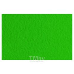 Бумага для пастели "Tiziano" 50*65 см, 160 г/м2, зеленый темный Fabriano 52551037