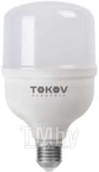 Лампа Tokov Electric 60Вт HP 6500К Е40/Е27 176-264В / TKE-HP-E40/E27-60-6.5K