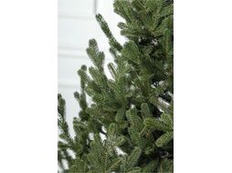 Ель искусственная GreenTerra Элоди (1.8м)