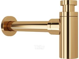 Сифон Lauter 21635G (золото)