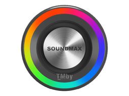 Портативная аудиосистема Soundmax SM-PS5024B (черный)