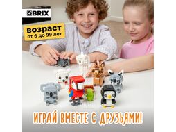 Конструктор QBRIX Kids Зоопарк. Пингвин 30049