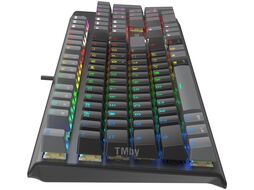Клавиатура USB A4Tech Fstyler FS100 Neon (серый/черный) механическая, пластик, интерфейс подключения - USB-A, цвет черный/серый