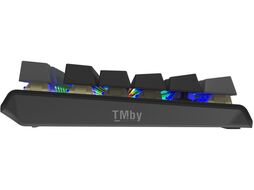 Клавиатура USB A4Tech Fstyler FS100 Neon (серый/черный) механическая, пластик, интерфейс подключения - USB-A, цвет черный/серый