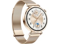 Умные часы Huawei Watch GT 5 41мм JNA-B19 Gold Milanese Strap (55020DGX)
