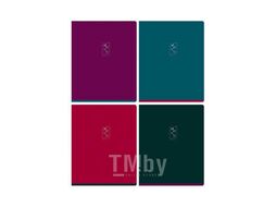 Тетрадь 96л в клетку "Monocolor. Bright color", тиснение фольгой BG Т5ск96_тф 11120