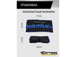 Набор съемников панелей и молдингов автомобиля, 27 предметов Car-tool CT-V1727