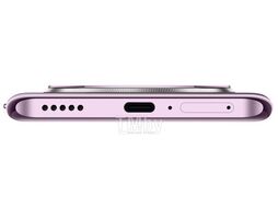 Смартфон Honor X9c 8GB/256GB Titanium Purple (BRP-NX1)