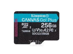 Память (flash-карты) KINGSTON SDCG3/256GBSP