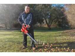 Воздуходувка Einhell GC-EL 3000 E
