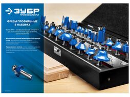 Набор профильных фрез по дереву ПРОФЕССИОНАЛ, 12 шт Зубр 28796-H12