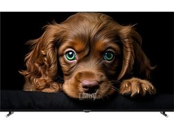 Телевизор Topdevice TDTV55CQ08UBK