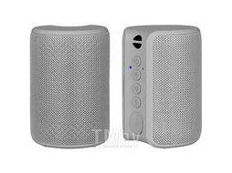 Портативная колонка Bluetooth TWS Play TFN TFN-BS04-01GR серый