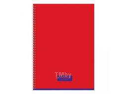 Тетрадь "Copybook", А4, 120 листов, клетка, ассорти BG Т4гр120_лг 12477