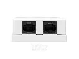 Розетка настенная TERACOM PRO Cat.6 неэкранированная 2 порта RJ-45 Dual IDC белая EKF TRP-WBOX-2RJ45-6UTP-WH