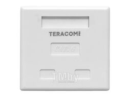 Розетка настенная TERACOM PRO Cat.6 неэкранированная 2 порта RJ-45 Dual IDC белая EKF TRP-WBOX-2RJ45-6UTP-WH