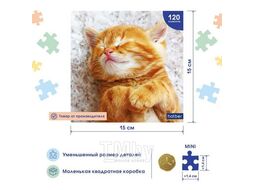 Пазл 120 эл. Premium "Котиков много не бывает", 150х150мм Hatber 120ПЗ5_19065