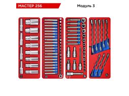 Набор инструментов "МАСТЕР 256" для тележки, 11 ложементов, 256 предметов, МАСТАК 5-00256