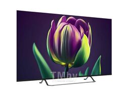 Телевизор TOPDEVICE TDTV55CS06U_BK