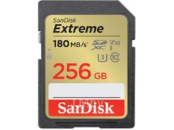 Карта памяти SDXC SanDisk SDSDXVV-256G-GNCIN