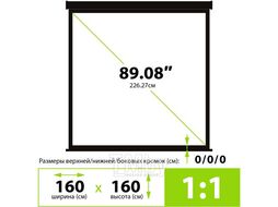 Экран Cactus CS-PSTE-160X160-BK