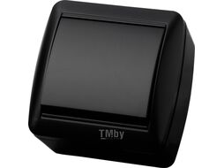 Выключатель 1-кл. открытой установки IP44 10А графит "Селигер" TDM SQ1818-0301