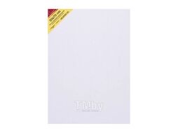 Холст на подрамнике 50*70 см "Сонет" хлопок, 380 г/м2, среднее зерно Невская Палитра E5305-B-50x70