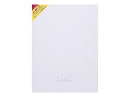 Холст на подрамнике 60*80 см "Сонет" хлопок, 380 г/м2, среднее зерно Невская Палитра E5305-B-60x80