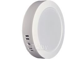 Светильник светодиодный накладной, серия Electro, круглый, 15W truEnergy 10105 пластик