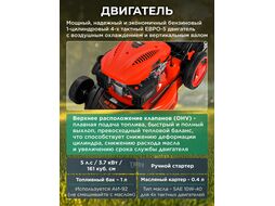 Газонокосилка бензиновая STARTUL GARDEN 46 SM самоходная (5.0 л.с., шир. 46 см, самоходная, мульчир., стальн. корпус, травосборник 60 л) SG1015