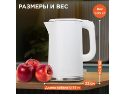 Чайник электрический AKL-521 NORMANN (2200 Вт; 1,7 л; двойн.стенки)