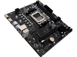 Материнская плата SocAM5 A620MS Biostar (2xDDR5, M.2, 6xUSB3, 6xUSB2, 1xPCIex16, 1xPCIex1, HDMI, DP, Glan)
