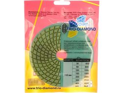 Алмазный гибкий шлифкруг "Черепашка" 100 № 300 (мокрая шл.) (TRIO-DIAMOND)