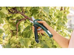 Секатор аккумуляторный EasyPrune BOSCH (06008B2100)