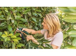 Секатор аккумуляторный EasyPrune BOSCH (06008B2100)