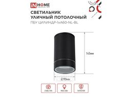Светильник уличный потолочный ПБУ ЦИЛИНДР-1xА60-NL-BL с подсветкой черный IP54 INhome 4690612059143
