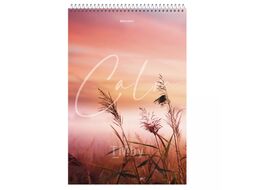 Блокнот А4 198*297 мм, 80 л., в клетку "Calm" спираль сверху, обл. картон, ассорти Brauberg 114357