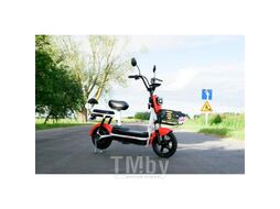 Электрический велосипед AVM DELTA LITE (Красный)