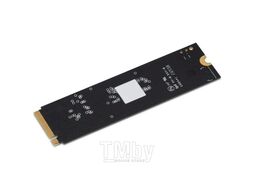 SSD-накопитель 256Gb Digma Mega P5 DGSM3256GP53T, (2900/1200), NVMe M.2