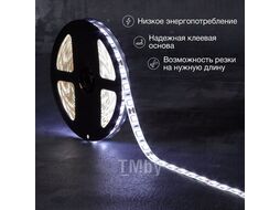 Лента светодиодная 12В, SMD5050, 14,4Вт/м, 60 LED/м, 6500К, 10мм, 5м, для БП с клеммами, IP65 Lamper 141-2027