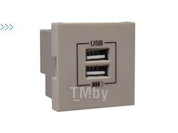 Двойная USB розетка, зарядная, платина EFAPEL 45439 SPL