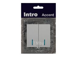 Выключатель Accent 6-105-01 двойной с подсветкой, 10А-250В, IP20, СУ, AL/CU, белый Intro Б0063505