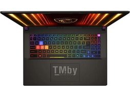 Ноутбук MSI MS-15MM Vector A16 HX A8WHG-008XBY Cosmos Gray (9S7-15MM72-008)