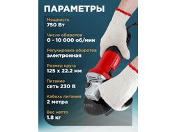Одноручная углошлифмашина WORTEX AG 1207-6 в кор. (750 Вт, 125х22,2 мм, 0-10000 об/мин, рег.об., пылезащита двигателя и подшипника, 5 отрезных кругов