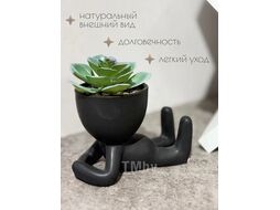 Растение искусственное в горшке Art&Home Oliver 12.8х12см MUG4501
