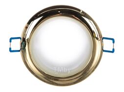 Светильник влагозащищенный MR16,12V, 50W золото WR1 GD Эра C0043846