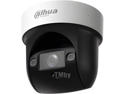 Камера видеонаблюдения Dahua DH-SD29204DB-GNY